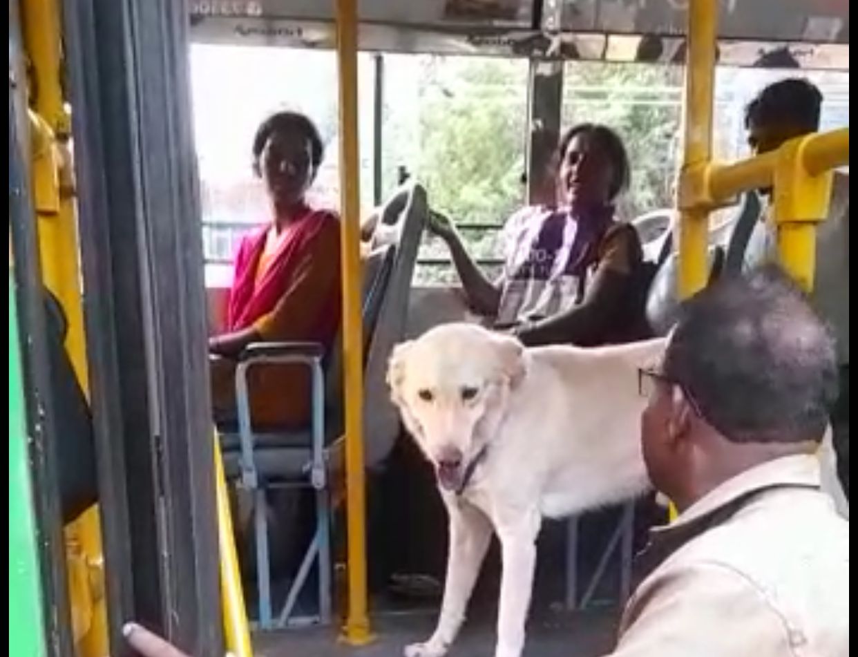...